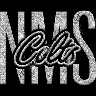 GLT95 SILVER GLITTER Thumbnail