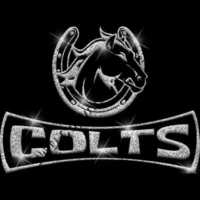 GLT94 SILVER GLITTER Thumbnail